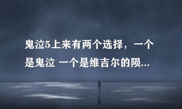 鬼泣5上来有两个选择，一个是鬼泣 一个是维吉尔的陨落 两个有什么区别啊？