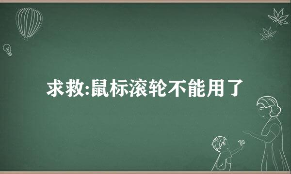 求救:鼠标滚轮不能用了