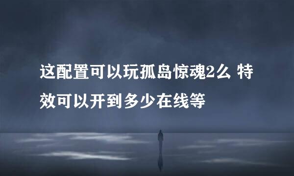 这配置可以玩孤岛惊魂2么 特效可以开到多少在线等