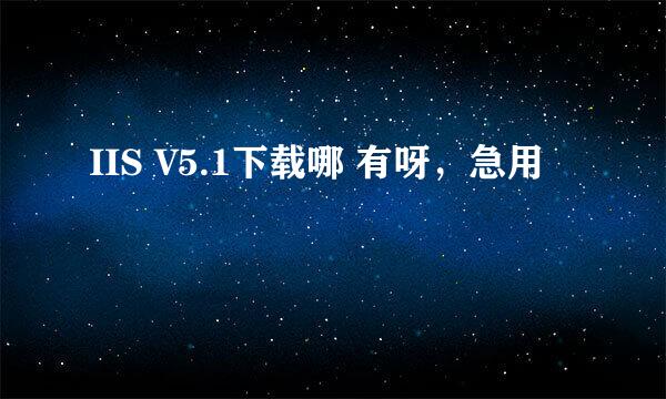 IIS V5.1下载哪 有呀，急用