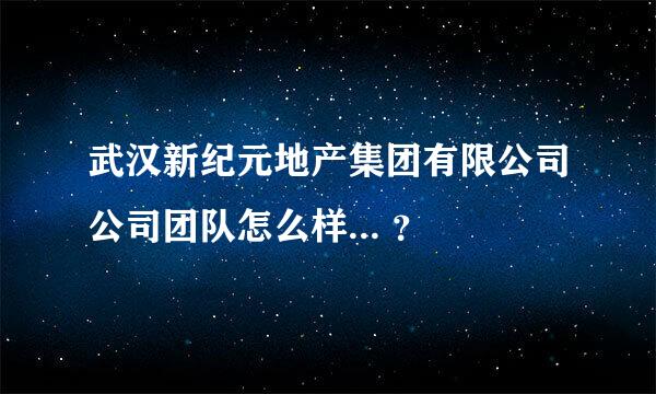 武汉新纪元地产集团有限公司公司团队怎么样... ？