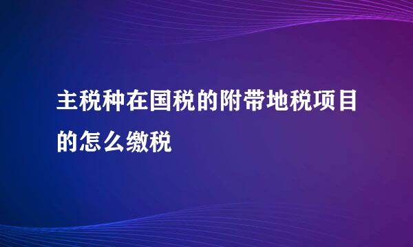 主税种在国税的附带地税项目的怎么缴税