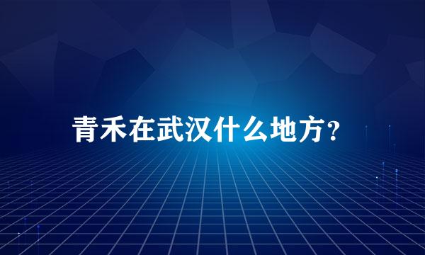 青禾在武汉什么地方？