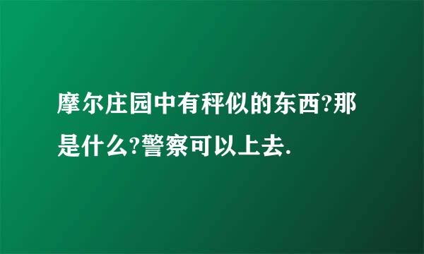 摩尔庄园中有秤似的东西?那是什么?警察可以上去.