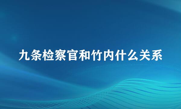 九条检察官和竹内什么关系