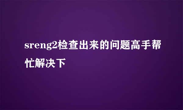 sreng2检查出来的问题高手帮忙解决下