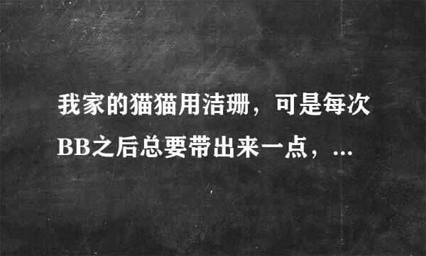 我家的猫猫用洁珊，可是每次BB之后总要带出来一点，怎么办啊？