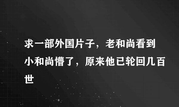 求一部外国片子，老和尚看到小和尚懵了，原来他已轮回几百世