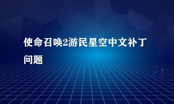 使命召唤2游民星空中文补丁问题