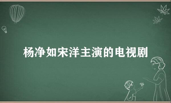 杨净如宋洋主演的电视剧