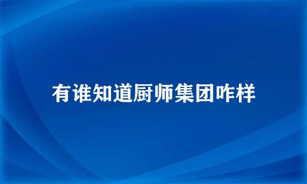 有谁知道厨师集团咋样