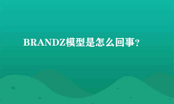 BRANDZ模型是怎么回事？