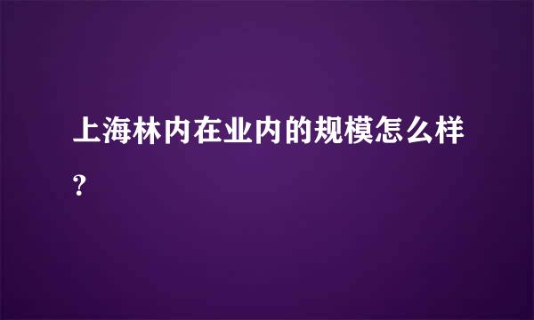 上海林内在业内的规模怎么样？