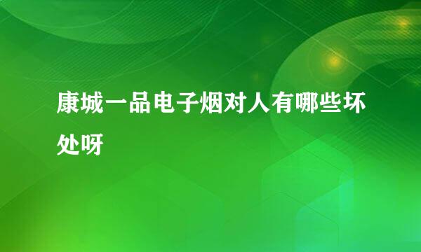 康城一品电子烟对人有哪些坏处呀