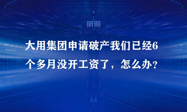 大用集团申请破产我们已经6个多月没开工资了，怎么办？