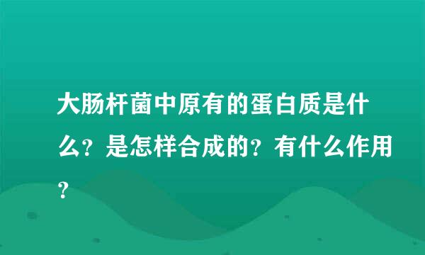 大肠杆菌中原有的蛋白质是什么？是怎样合成的？有什么作用？