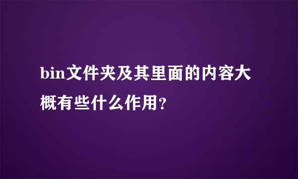 bin文件夹及其里面的内容大概有些什么作用？