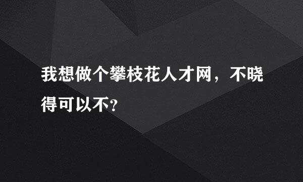 我想做个攀枝花人才网，不晓得可以不？