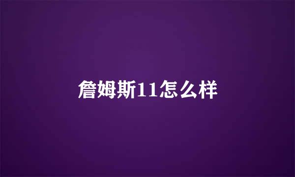 詹姆斯11怎么样