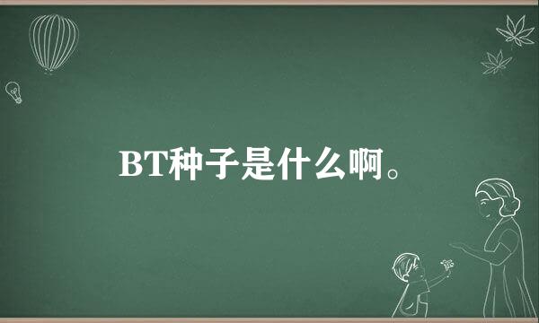 BT种子是什么啊。