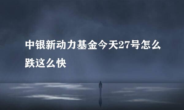 中银新动力基金今天27号怎么跌这么快