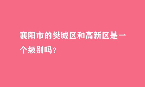 襄阳市的樊城区和高新区是一个级别吗？