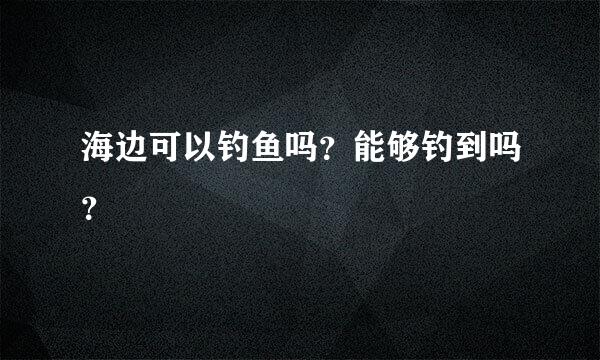 海边可以钓鱼吗？能够钓到吗？