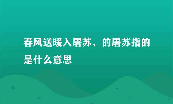 春风送暖入屠苏，的屠苏指的是什么意思