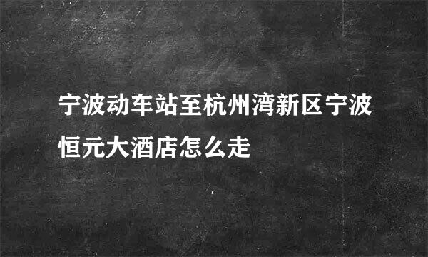 宁波动车站至杭州湾新区宁波恒元大酒店怎么走