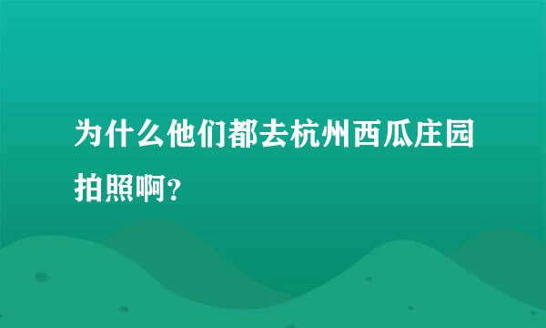 为什么他们都去杭州西瓜庄园拍照啊？