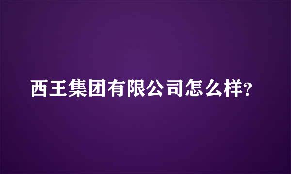 西王集团有限公司怎么样？