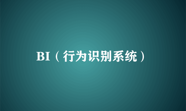 BI（行为识别系统）