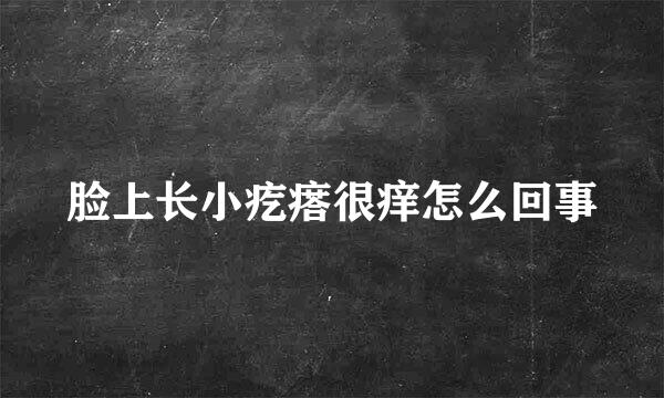 脸上长小疙瘩很痒怎么回事