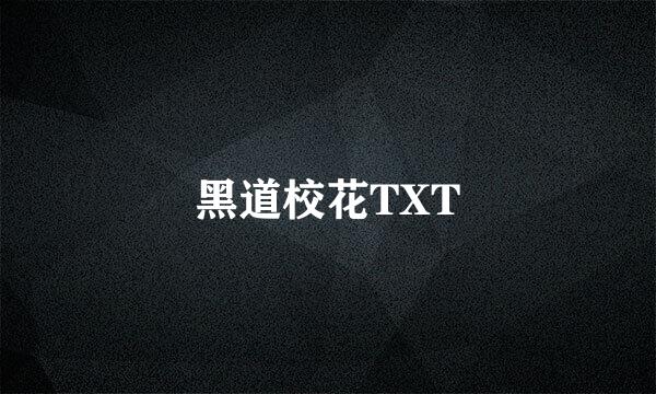 黑道校花TXT