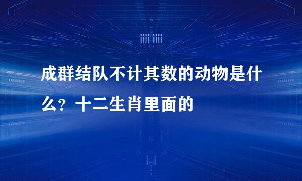 成群结队不计其数的动物是什么？十二生肖里面的