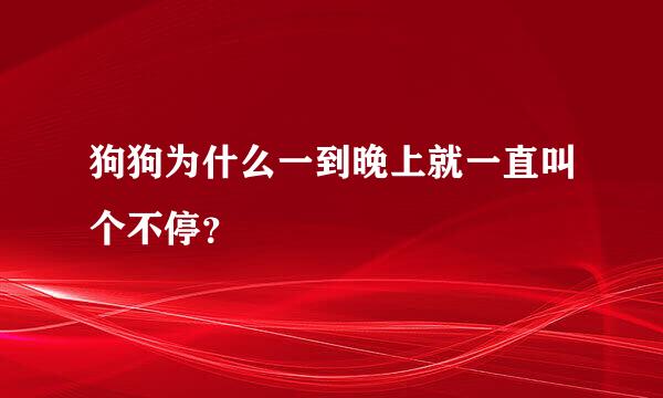 狗狗为什么一到晚上就一直叫个不停？