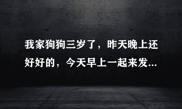 我家狗狗三岁了，昨天晚上还好好的，今天早上一起来发现地上很多摊血