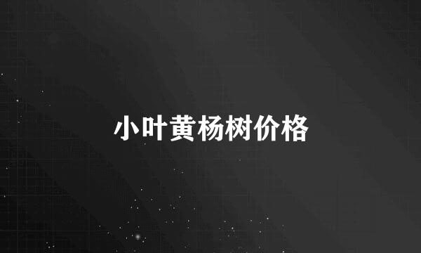 小叶黄杨树价格