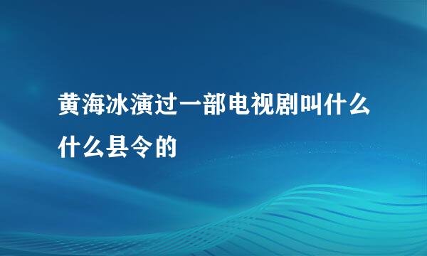 黄海冰演过一部电视剧叫什么什么县令的