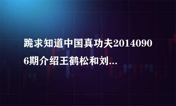 跪求知道中国真功夫20140906期介绍王鹤松和刘兵这两个选手时的背景音乐？