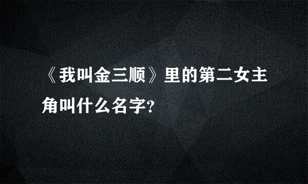 《我叫金三顺》里的第二女主角叫什么名字？