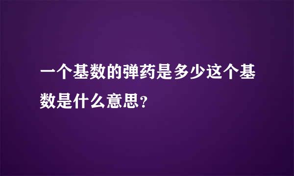 一个基数的弹药是多少这个基数是什么意思？