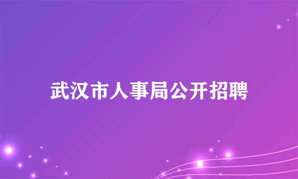 武汉市人事局公开招聘