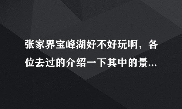 张家界宝峰湖好不好玩啊，各位去过的介绍一下其中的景点，以及一些不好的事情，综合评价一下，谢谢拉