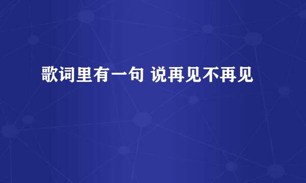 歌词里有一句 说再见不再见