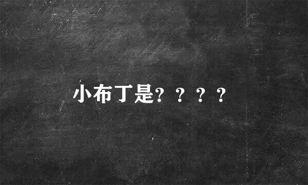 小布丁是？？？？