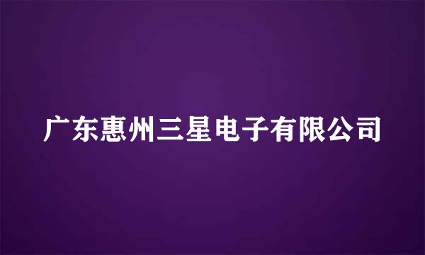 广东惠州三星电子有限公司