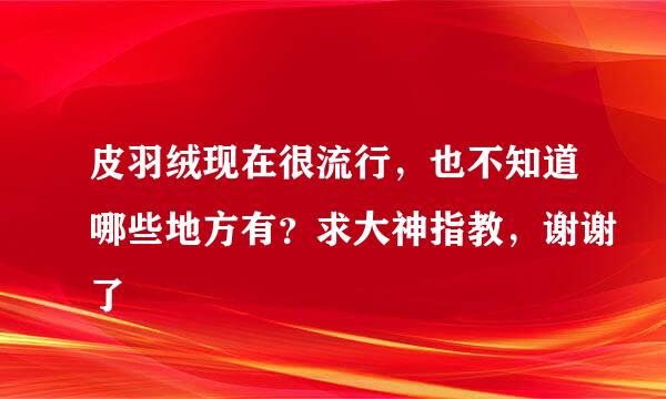 皮羽绒现在很流行，也不知道哪些地方有？求大神指教，谢谢了