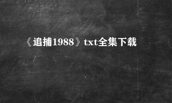 《追捕1988》txt全集下载