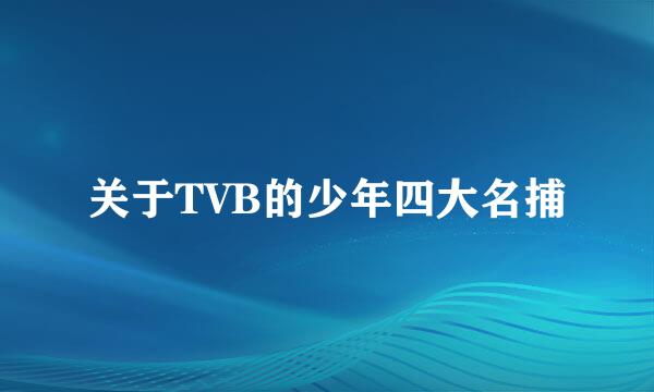 关于TVB的少年四大名捕